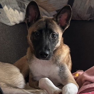 可愛いルカくん❗️ずっとの家族を‼️