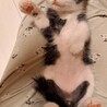 ミルクから育てた甘えん坊な男の子 サムネイル3