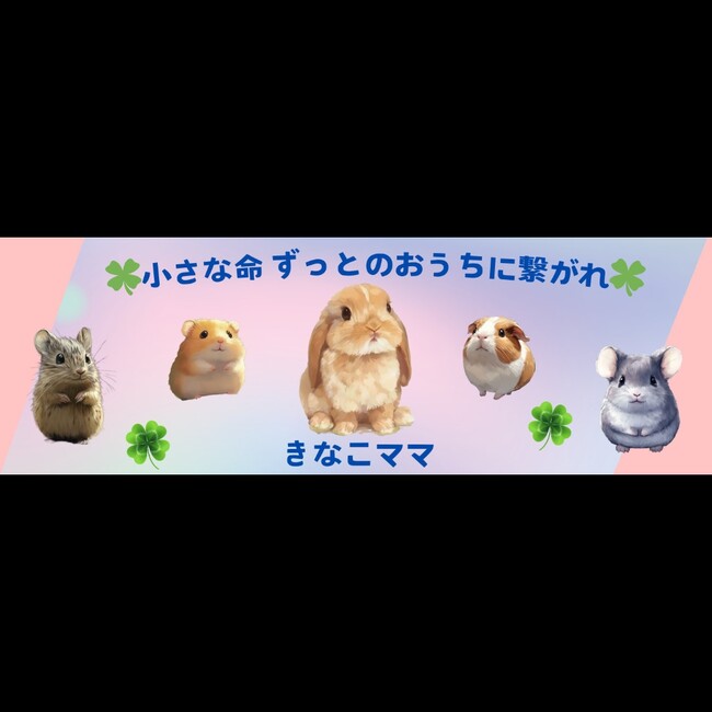 きなこママ名古屋(箱うさぎ他保護宅)のカバー写真