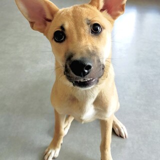 まるで舞い降りた天使♡ロティちゃん