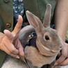 さってぃこ