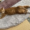 今日もよく伸びています(^-^)