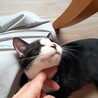 遊ぶの大好きたっとくん☆