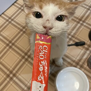 人が大好き12才の男の子