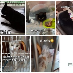 「2024.09.07」サムネイル1