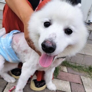 お外暮らしを頑張ったパンちゃん