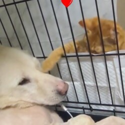 「2024.09.10」サムネイル1