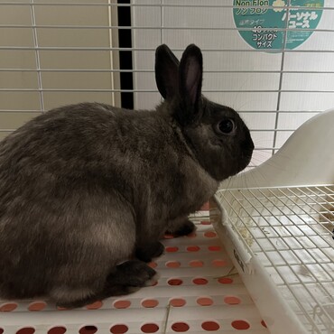 本日お迎えしました　