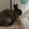 本日お迎えしました　