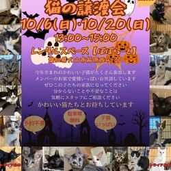猫の譲渡会 @レンタルスペースぽぽらーと