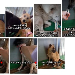 「2024.09.13-01」サムネイル1