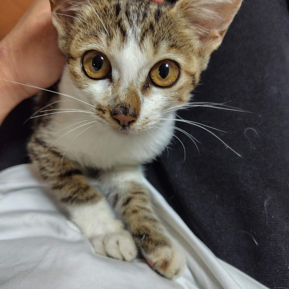 名無しのカバー写真