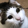  さん