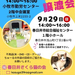 保護猫の譲渡会in春日井