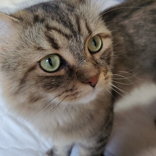 只今、お話し中のためストップです