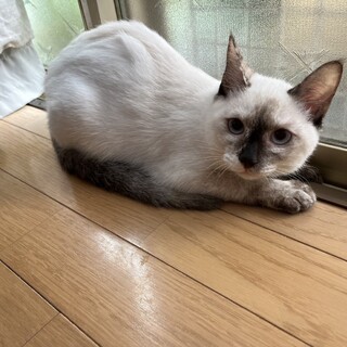 9/23更新☆ビビりでおっとりな甘えん坊女子