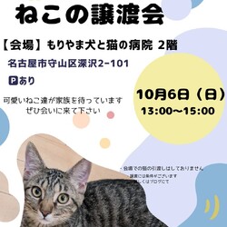 ねこの譲渡会 inもりやま犬と猫の病院