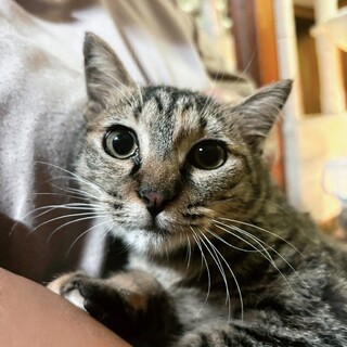 優しいお姉さんタイプ♡ゆきのちゃん