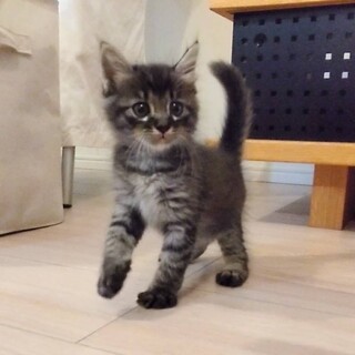 美しい顔立ち♡セイヤくん