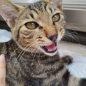 生後5か月★超甘えん坊な男の子