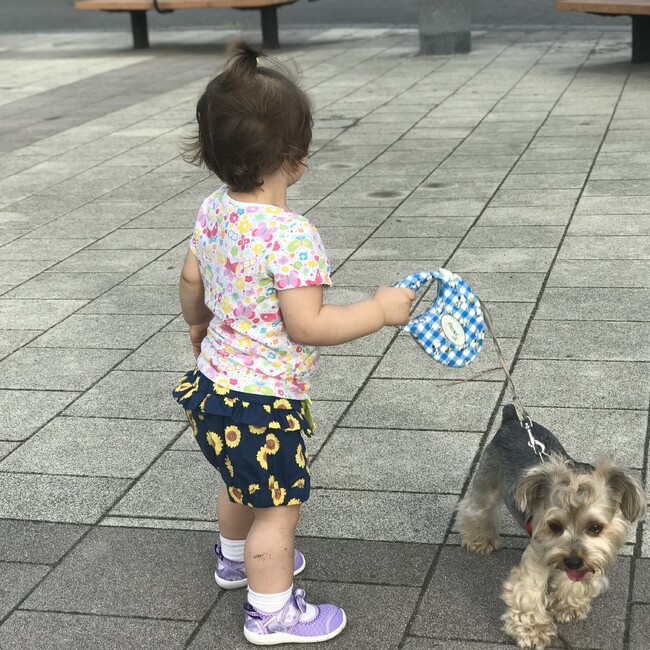 Mr Cesar Canisalesのカバー写真