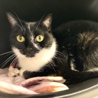 【るり】お目め真ん丸美人