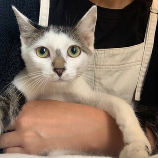 綺麗な顔のぎじしろくん4ヶ月