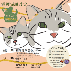 名古屋市緑区猫の譲渡会 サムネイル3