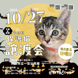 ほごっこ子猫の譲渡会（予約制）