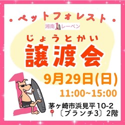 ペットフォレスト譲渡会