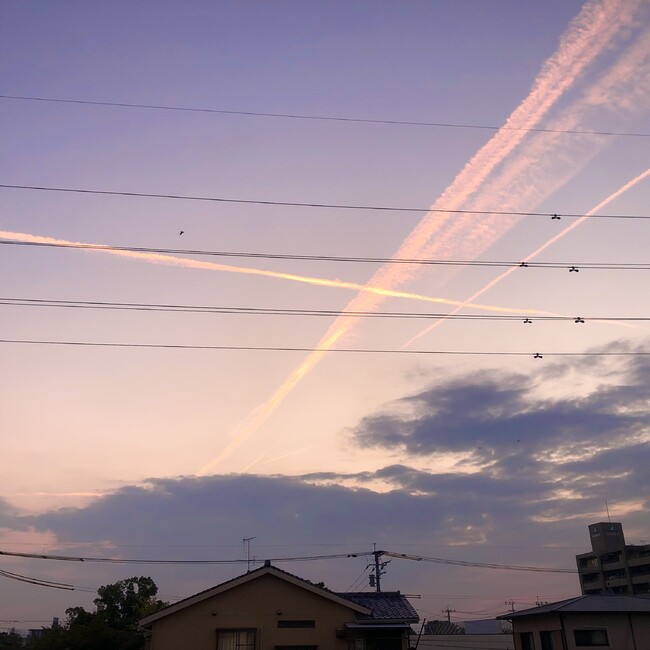 にっこ25のカバー写真