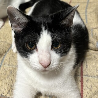 やんちゃで甘えん坊な男の子