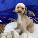 元気いっぱい☼凪ちゃん♡