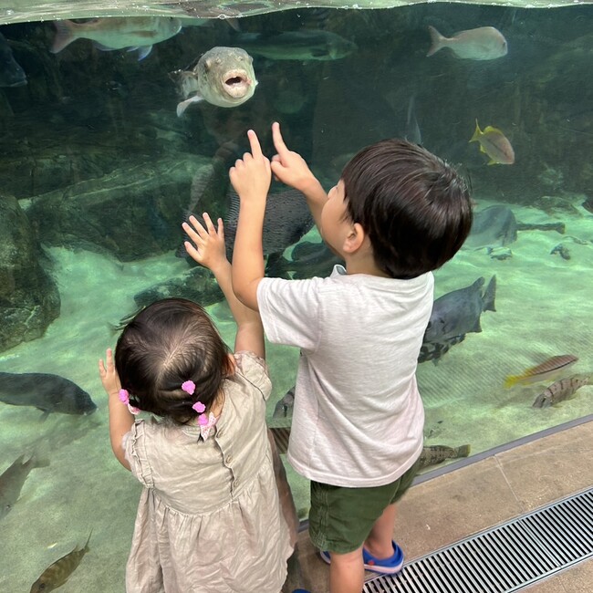 う、ち、だのカバー写真