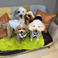 笑ってる？？それともしかめっつら？？？？