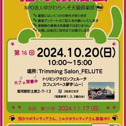 第16回猫の譲渡会 at 湯河原町