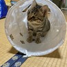 るんく