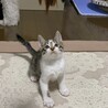 生後１ヶ月の元気な男の子 サムネイル2