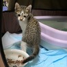 生後１ヶ月の元気な男の子 サムネイル3
