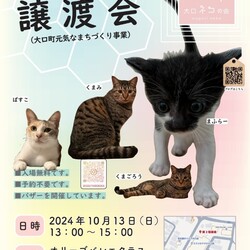 第３３回大口猫の会譲渡会
