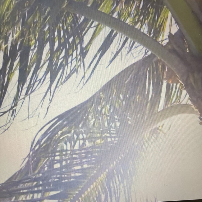 らりるなのカバー写真