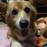 海の近くのただ