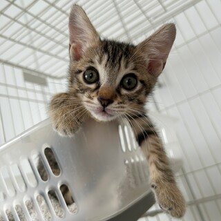 甘えん坊でおっとり君★ウクくん