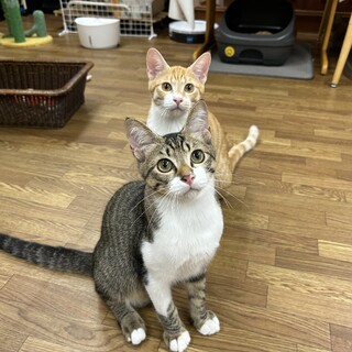 仲良し兄弟♡