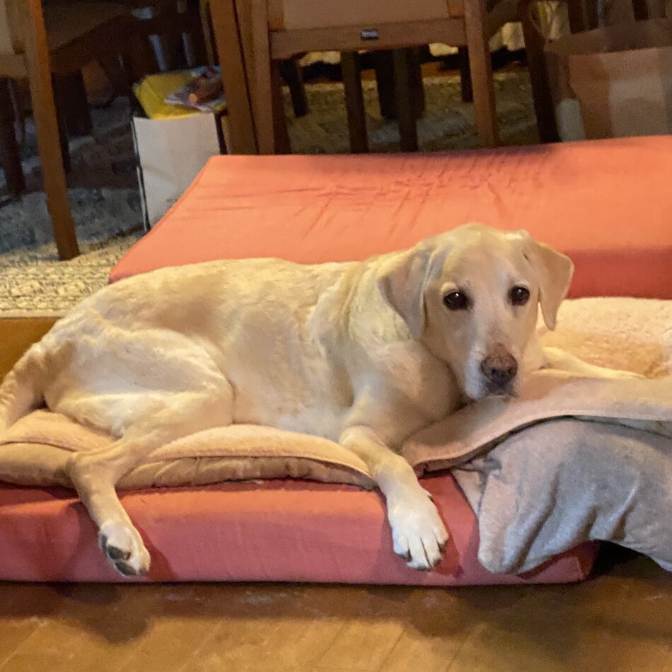 ファンのカバー写真