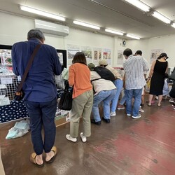 百町保護猫譲渡会＆マルシェ サムネイル2