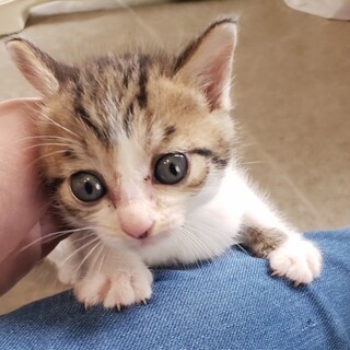 ノリちゃん！好奇心旺盛な女の子！