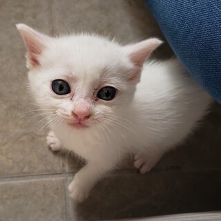 タカちゃん！甘えん坊さんな女の子！