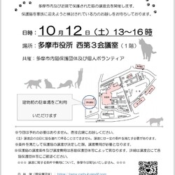 多摩市役所での譲渡会