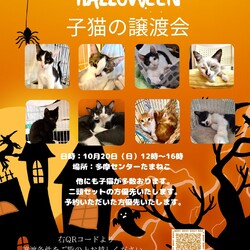 ハロウィン譲渡会多摩センター